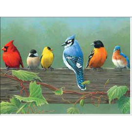 Набор для раскрашивания Reeves (Oasis) "птицы" для ребенка