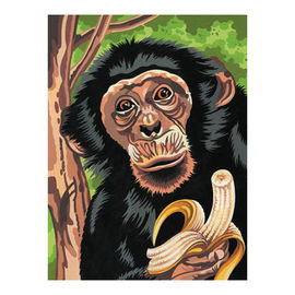 Набор для раскрашивания Reeves (Oasis) "три шимпанзе" для ребенка