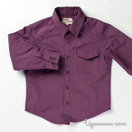 Рубашка для мальчика, цвет фиолетовый, рост 98-176см
