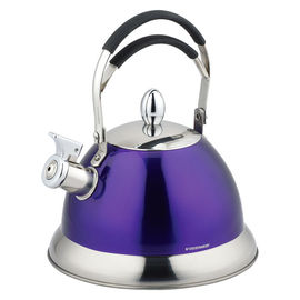 Чайник со свистком Vissner, цвет пурпурный, 3,0л