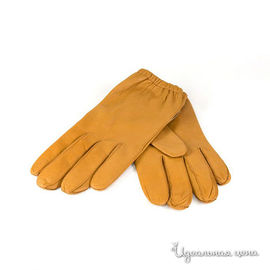 Перчатки Coccinelli женские, цвет ореховый