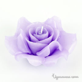 Свеча ароматизированная CASA ANVERSA РОЗА, цвет фиолетовый