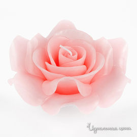 Свеча ароматизированная CASA ANVERSA РОЗА, цвет розовый