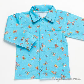 Рубашка Литтлфилд для мальчика, цвет голубой, 2-7 лет