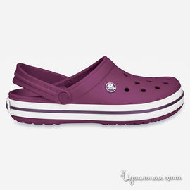 Сабо Crocs, цвет фиолетовый / белый