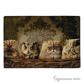 Обложка для паспорта COOL COVER "Котики и сова"