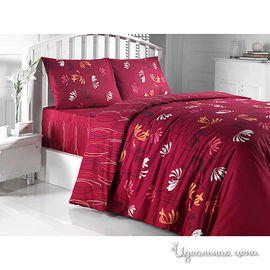 Комплект постельного белья Issimo "SCARLET", цвет бордовый, 1,5 спальный