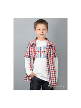 Рубашка Adams для мальчика, цвет красный / принт клетка