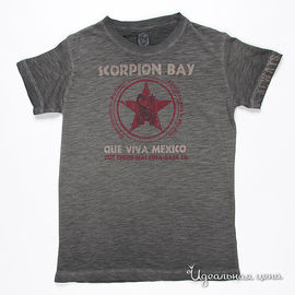 Футболка Scorpion bay для мальчика, цвет темно-серый