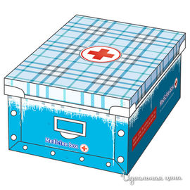 Коробка-органайзер для лекарств Техоснастка, цвет голубой
