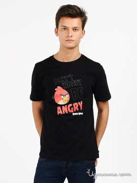 Футболка Angry birds мужская, цвет черный