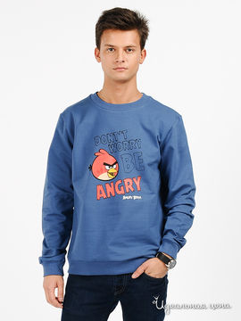 Джемпер Angry birds мужской, цвет индиго