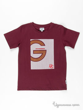 Футболка Dolce&Gabbana junior для мальчика, цвет бордовый