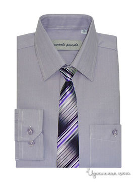 Рубашка с галстуком Аvanti-Piccolo для мальчика, цвет сиреневый