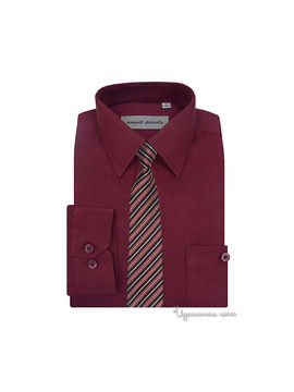 Рубашка с галстуком Аvanti-Piccolo для мальчика, цвет бордовый