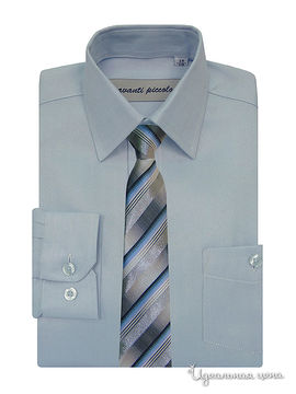 Рубашка с галстуком Аvanti-Piccolo для мальчика, цвет голубой