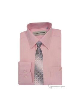 Рубашка с галстуком Аvanti-Piccolo для мальчика, цвет розовый