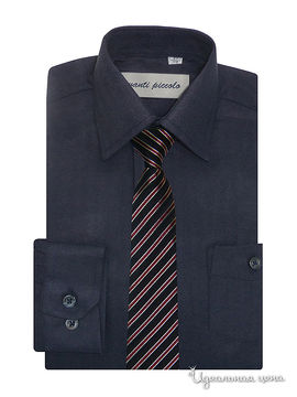 Рубашка с галстуком Аvanti-Piccolo для мальчика, цвет темно-синий