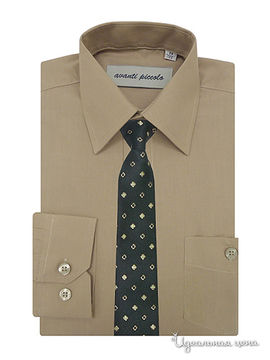 Рубашка с галстуком Аvanti-Piccolo для мальчика, цвет светло-коричневый