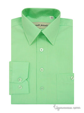 Рубашка Аvanti-Piccolo для мальчика, цвет мятный