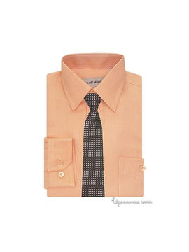 Рубашка с галстуком Аvanti-Piccolo для мальчика, цвет персиковый
