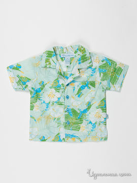 Рубашка VIDay Collection для мальчика, цвет зеленый