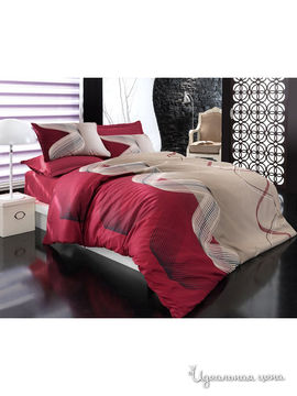 Комплект постельного белья Евро Cotton Box, цвет бордовый, бежевый