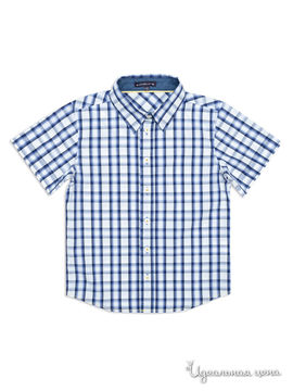 Рубашка Tutti quanti для мальчика, цвет синий, белый