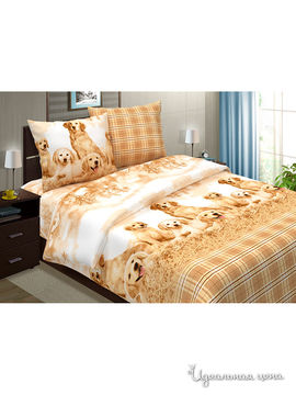 Комплект постельного белья 2-х спальный Традиция текстиля, бежевый
