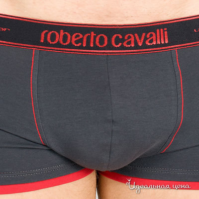 Трусы Roberto Cavalli серые