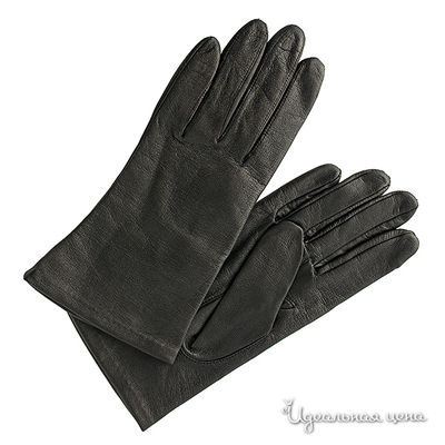Перчатки Isotoner, цвет цвет темно-серый