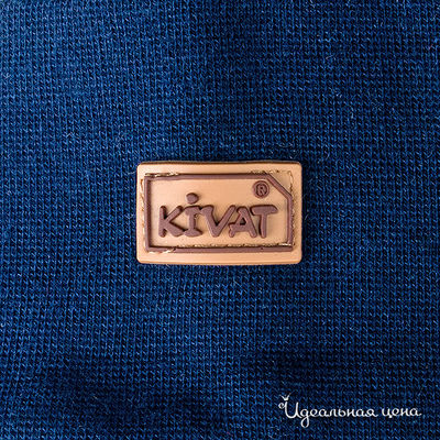 шапка Kivat для мальчика, цвет темно-синий