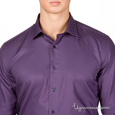 Сорочка poggino мужская, цвет фиолетовый