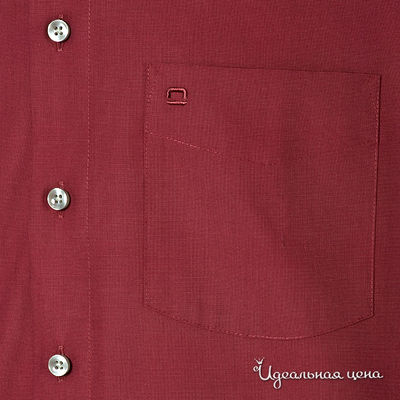 Рубашка Olimp мужская, цвет бордовый