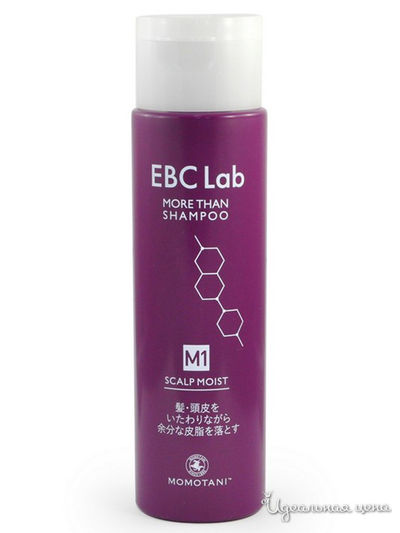 Шампунь для волос EBC Lab Scalp Clear More Than Shampoo, MOMOTANI