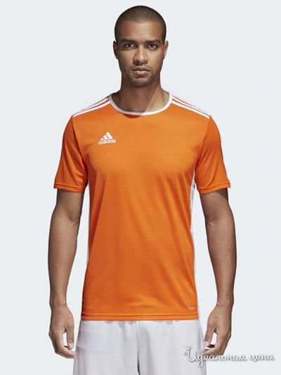 Футболка Adidas, цвет оранжевый