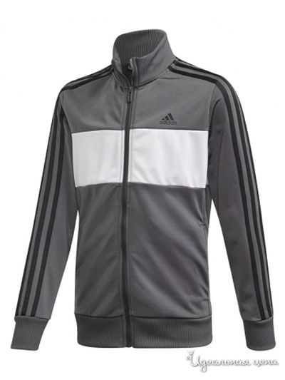 Костюм спортивный Adidas, цвет серый