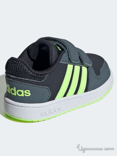 Кеды Adidas, цвет серый