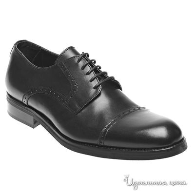 Ботинки Pepe Castell, цвет цвет черный