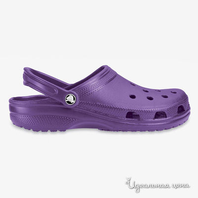Сабо Crocs, цвет фиолетовый