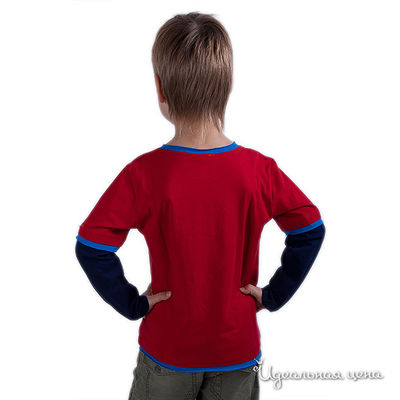 Джемпер Cartoon brands для мальчика, цвет темно-синий / бордовый