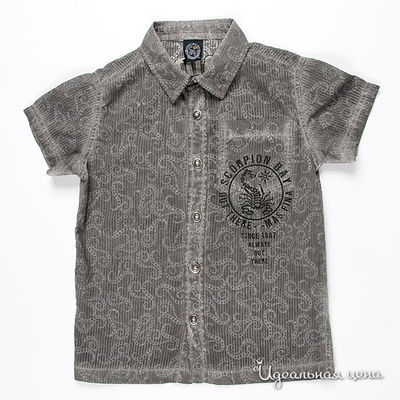 Рубашка Scorpion bay для мальчика, цвет серый
