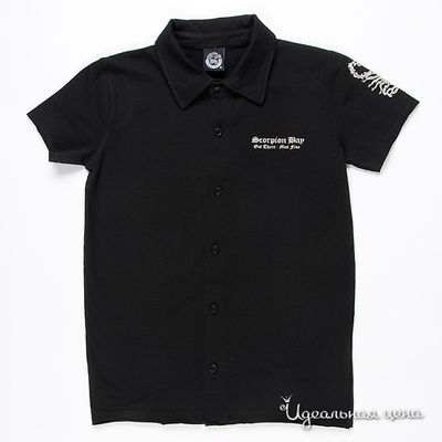 Рубашка Scorpion bay, цвет цвет черный