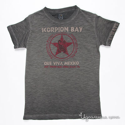 Футболка Scorpion bay, цвет цвет темно-серый