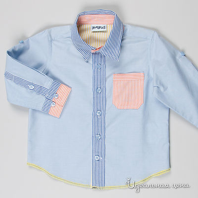 Рубашка Bimbus, цвет цвет голубой