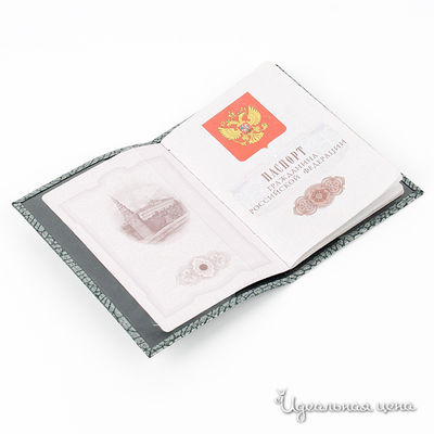 Обложка для паспорта Vasheron унисекс, цвет серебристый