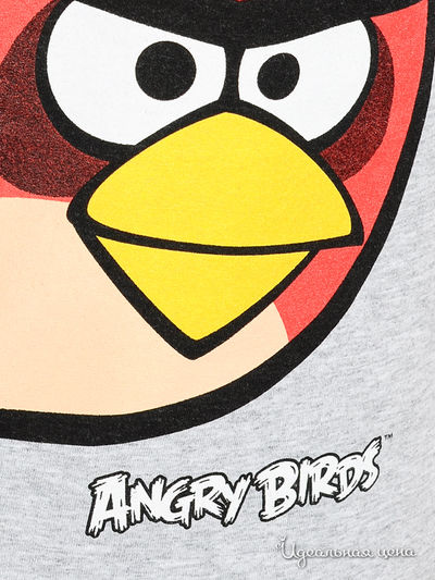 Футболка Angry birds мужская, цвет серый меланж