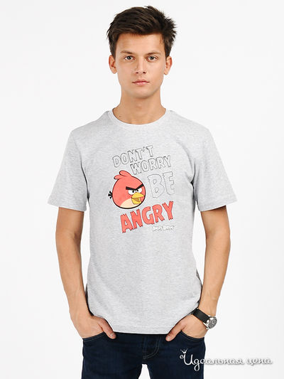 Футболка Angry birds мужская, цвет серый меланж