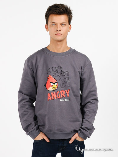 Джемпер Angry Birds, цвет цвет темно-серый