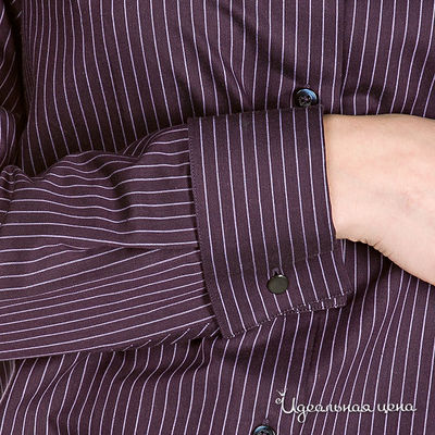 Рубашка Alonzo Corrado женская, цвет баклажановый / принт полоска